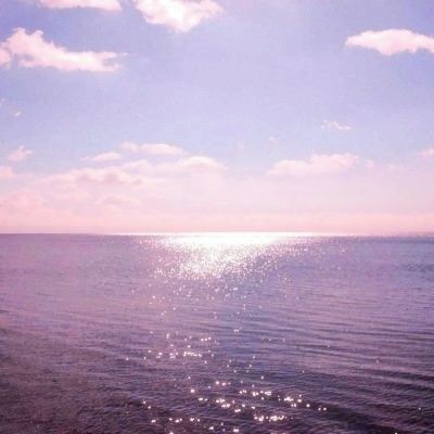 校花养成记手游版(校花养成计划)下载